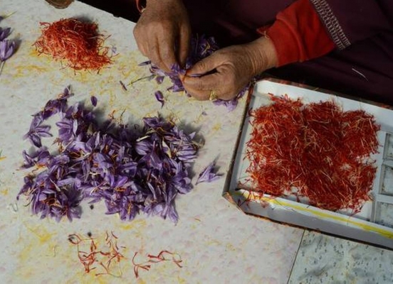 <?php echo html_escape(strip_tags($title)); ?>