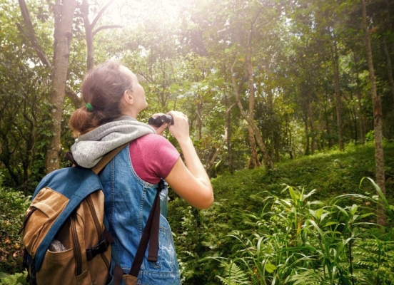 <?php echo html_escape(strip_tags($title)); ?>