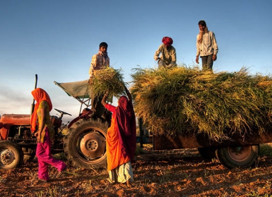 <?php echo html_escape(strip_tags($title)); ?>