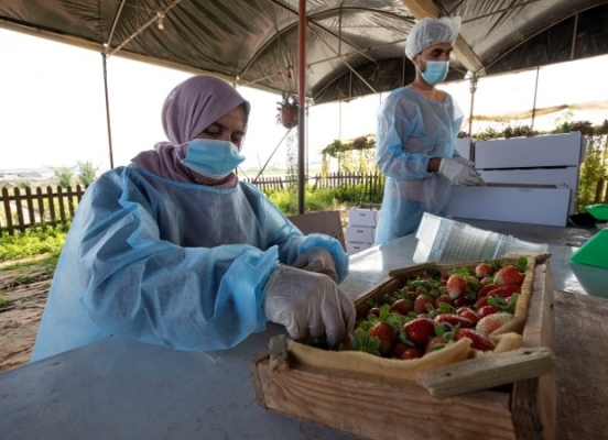 <?php echo html_escape(strip_tags($title)); ?>