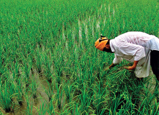 <?php echo html_escape(strip_tags($title)); ?>