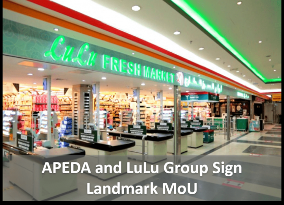 <?php echo html_escape(strip_tags($title)); ?>