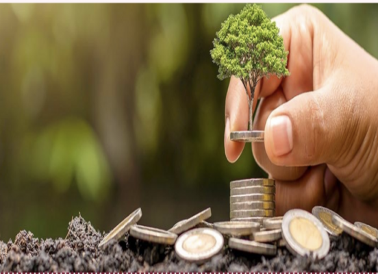 <?php echo html_escape(strip_tags($title)); ?>